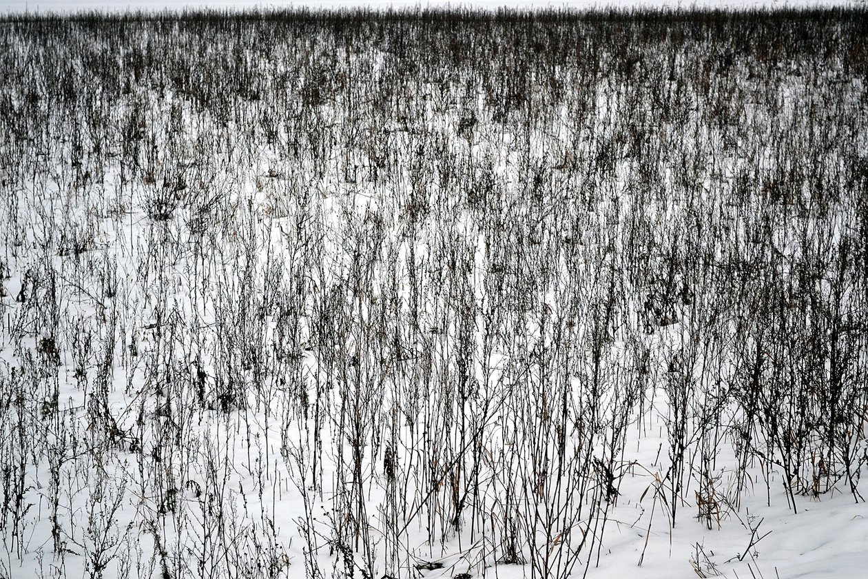 Ocak by Alexandra Gertrud Maria Marx