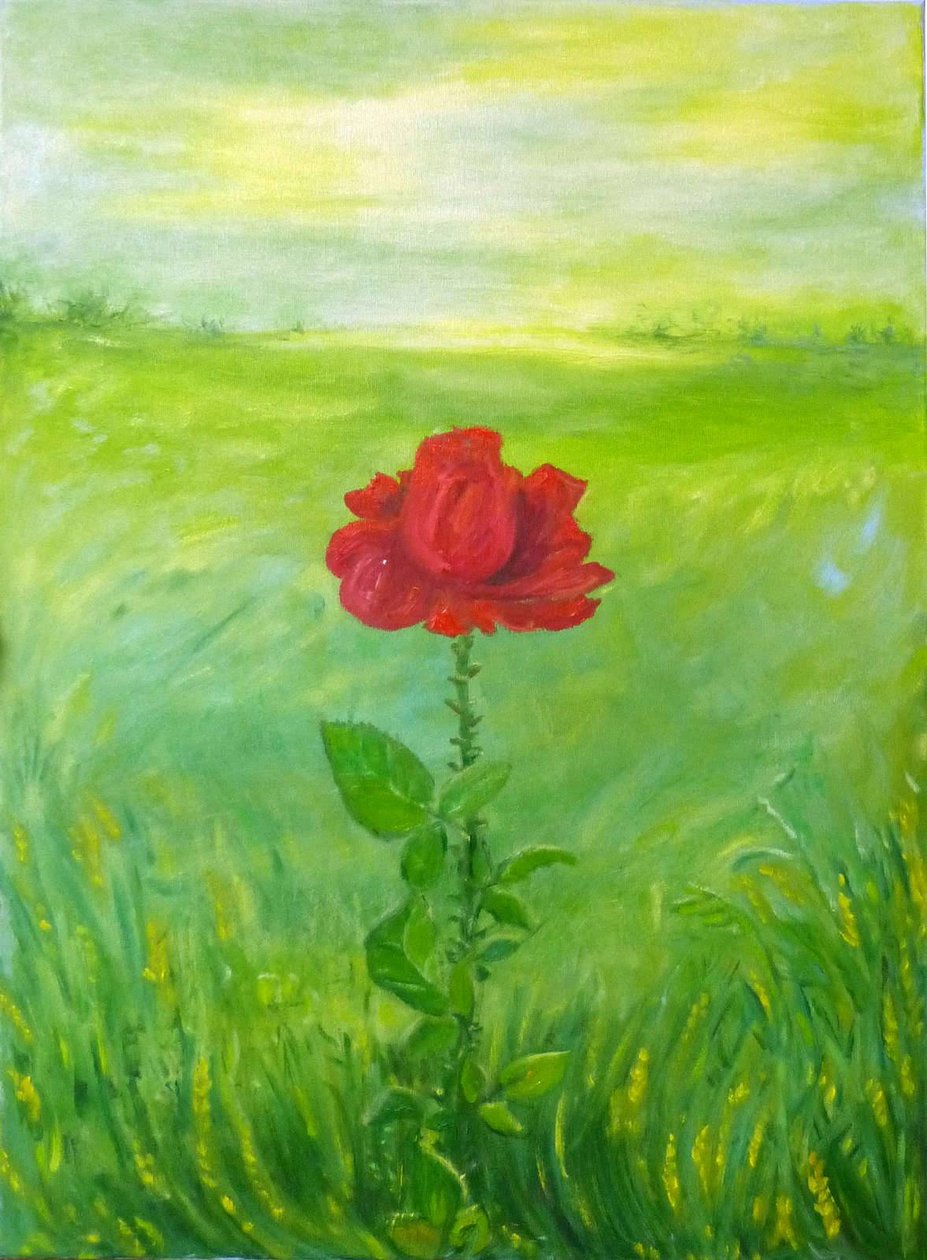 Gül by Elzbieta Goszczycka