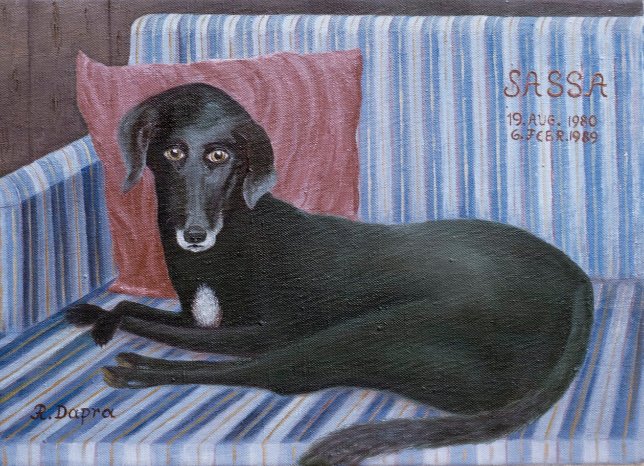 Köpeğimiz Sassa by Regine Dapra