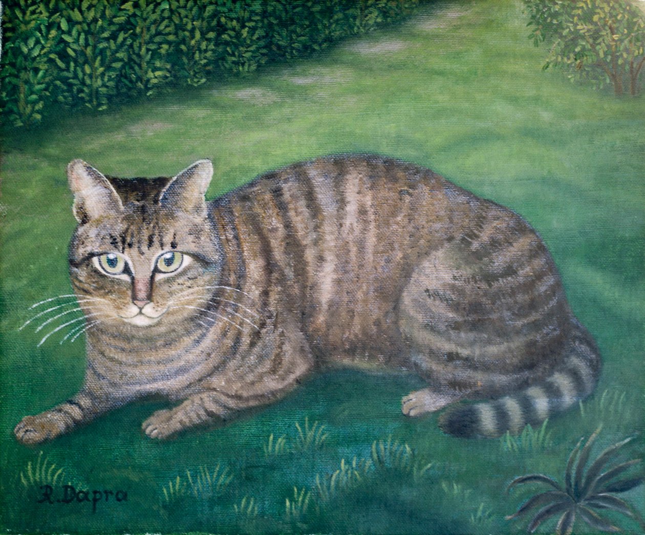 Kedi Julia by Regine Dapra