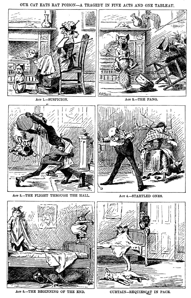 Kedimiz beş perde ve bir tabloda bir trajedi fare zehiri yiyor. by A. B. Frost