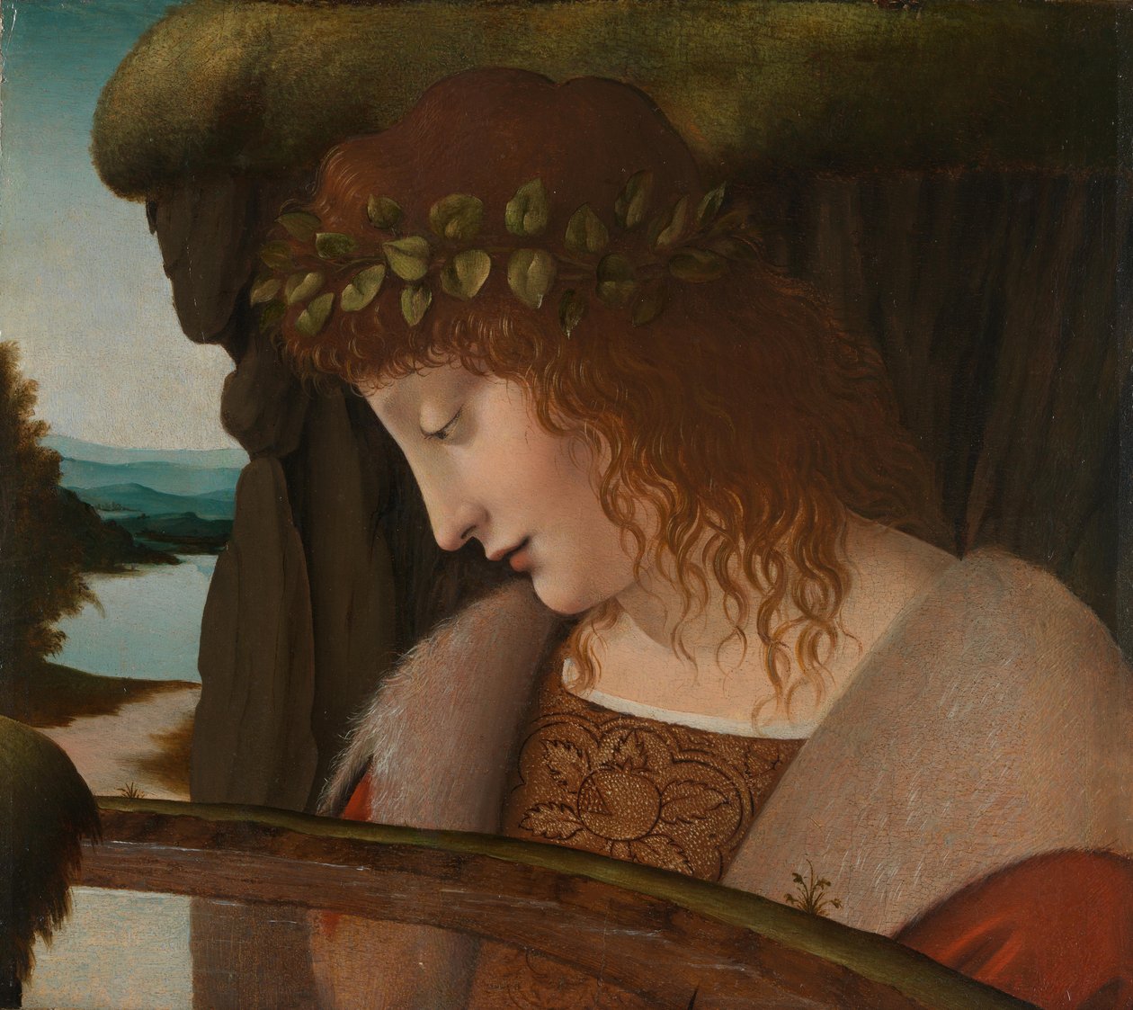 Nergis by Leonardo da school of Vinci