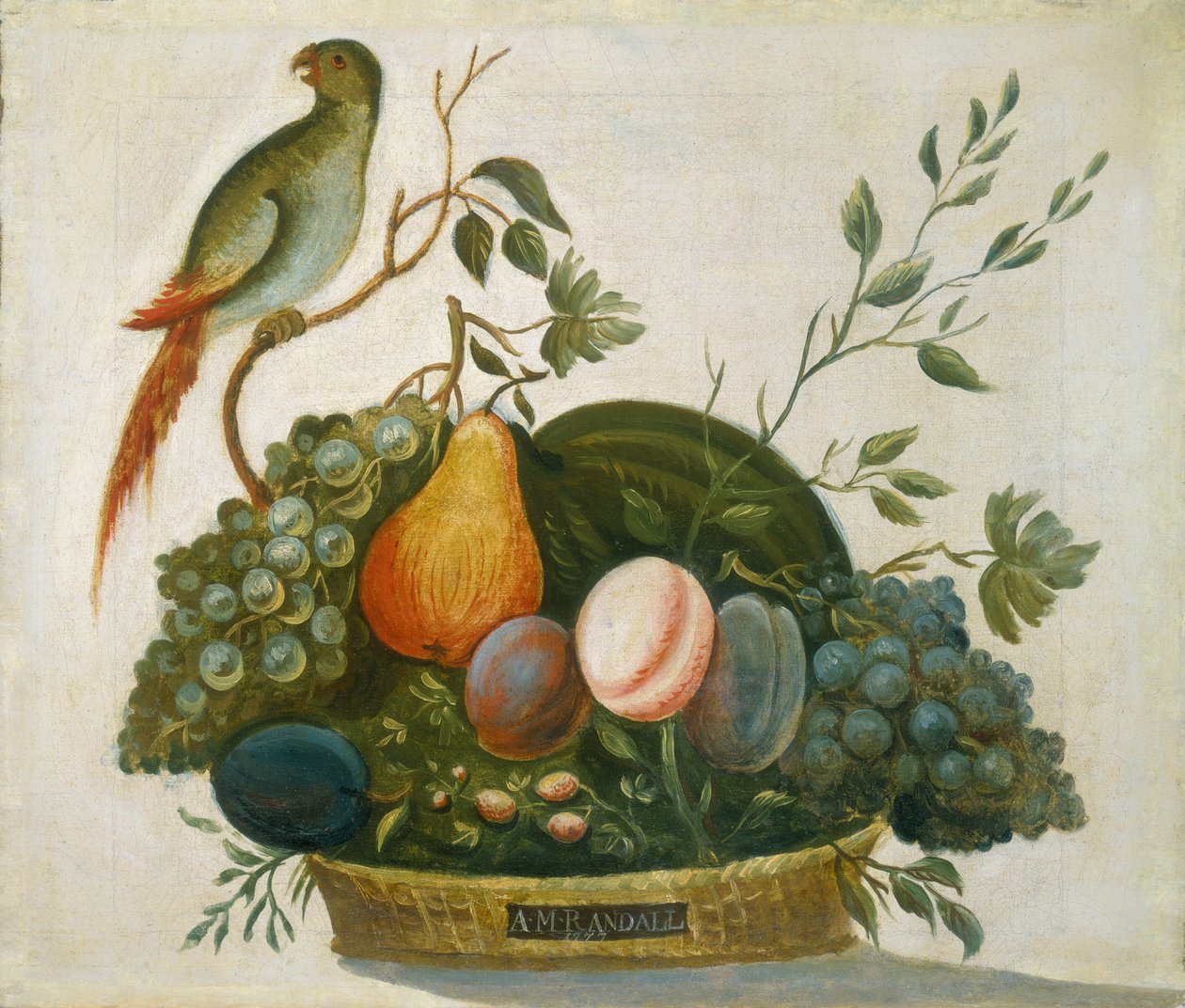 Papağanlı Meyve Sepeti by A.M. Randall