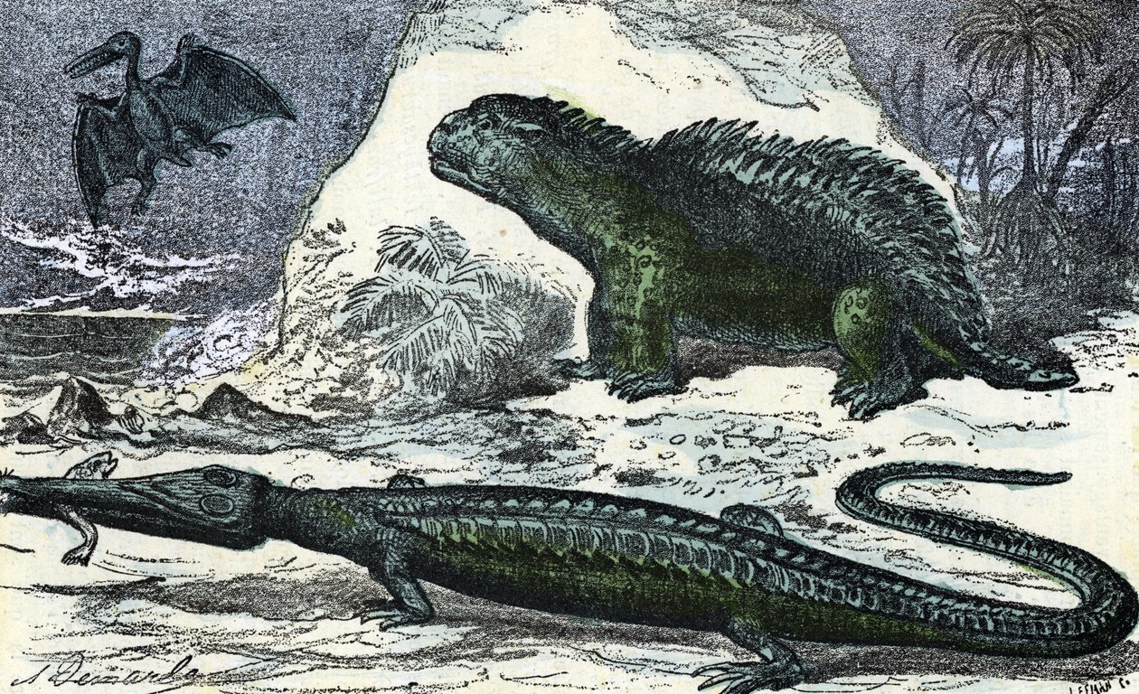 Prehistorya: Jura döneminden bir teleosaur (uzayan ağız) ve bir hyleosaur temsili” (Tarih Öncesi, Jurassic: teleosaurus ve hylaeosaurus) Rengade 1881 Özel koleksiyonu “” Nature and Man”den gravür by A. Demarle
