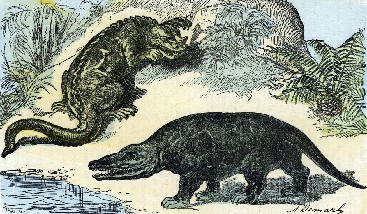 Tarih Öncesi: Kretase döneminden bir iguanodon ve megalosaurun temsili by A. Demarle