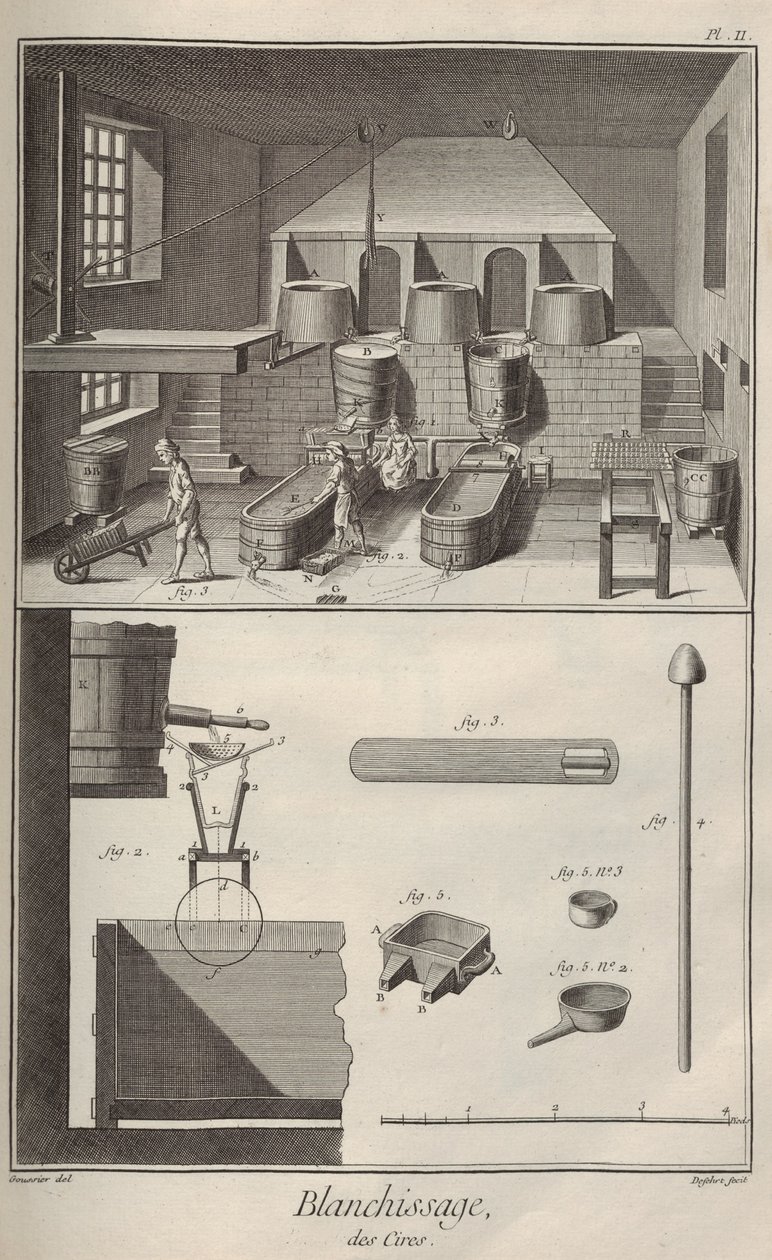 Balmumu Beyazlatma. Encyclopédie