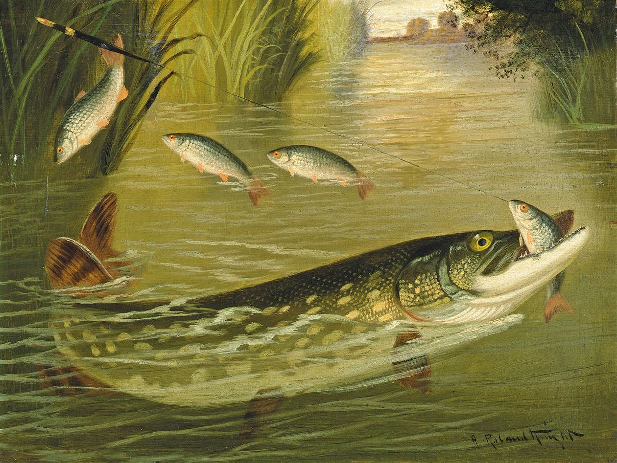 Kaçan dört kişi! by A. Roland Knight