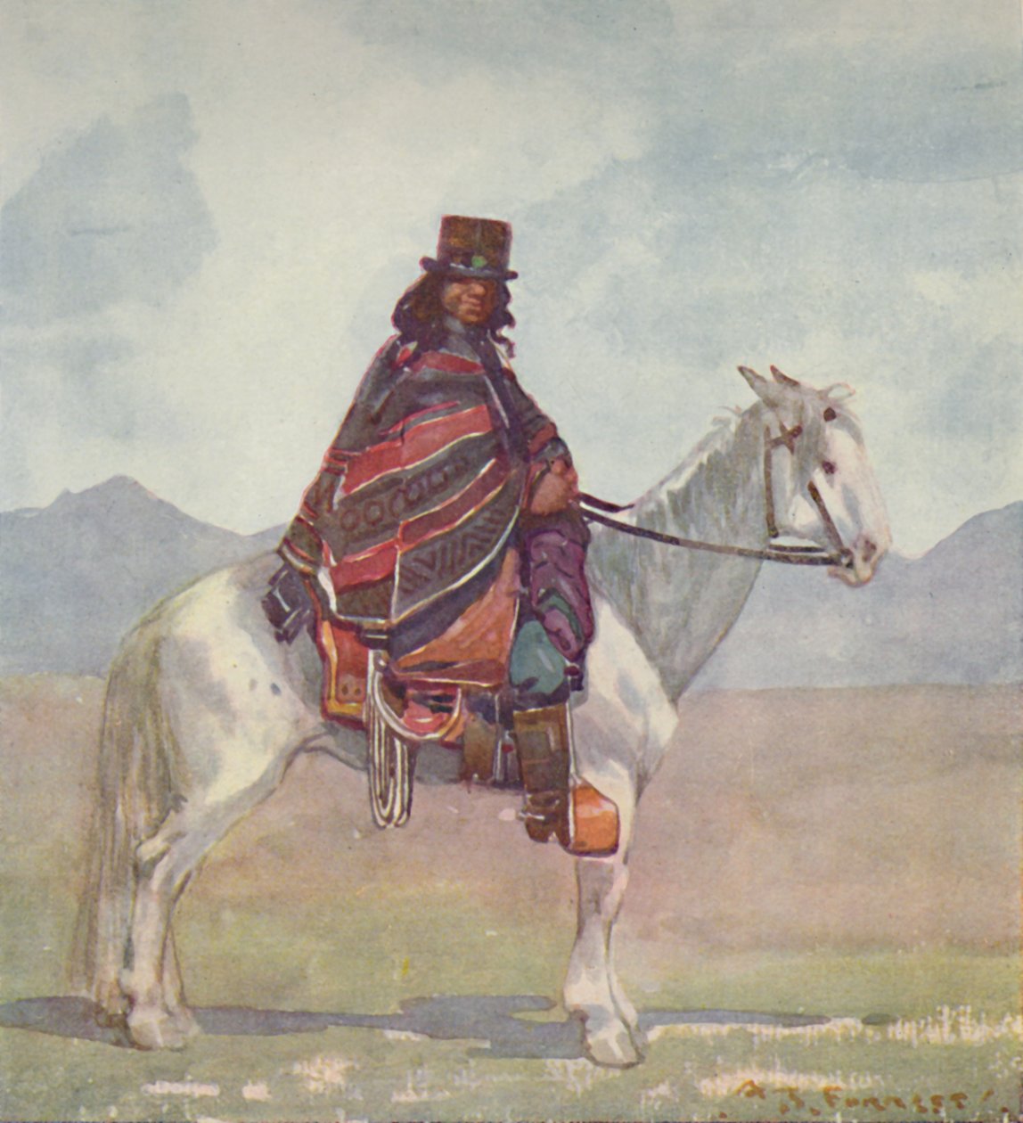 Bir Araukan Kızılderilisi, 1916 by A. S. Forrest
