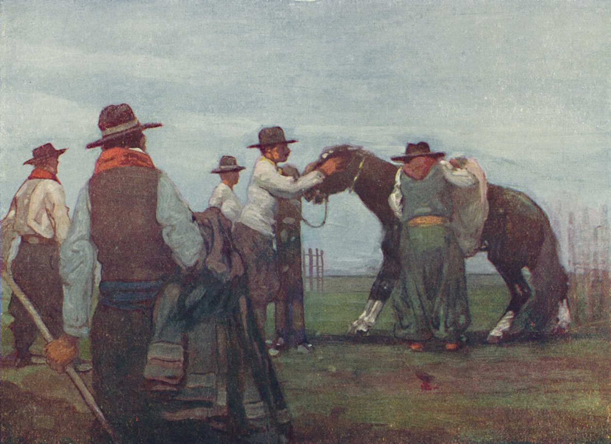 Gauchos