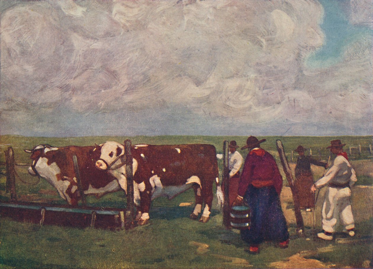 Bir Lemco Estancia üzerinde Soy Öküz, 1916 by A. S. Forrest