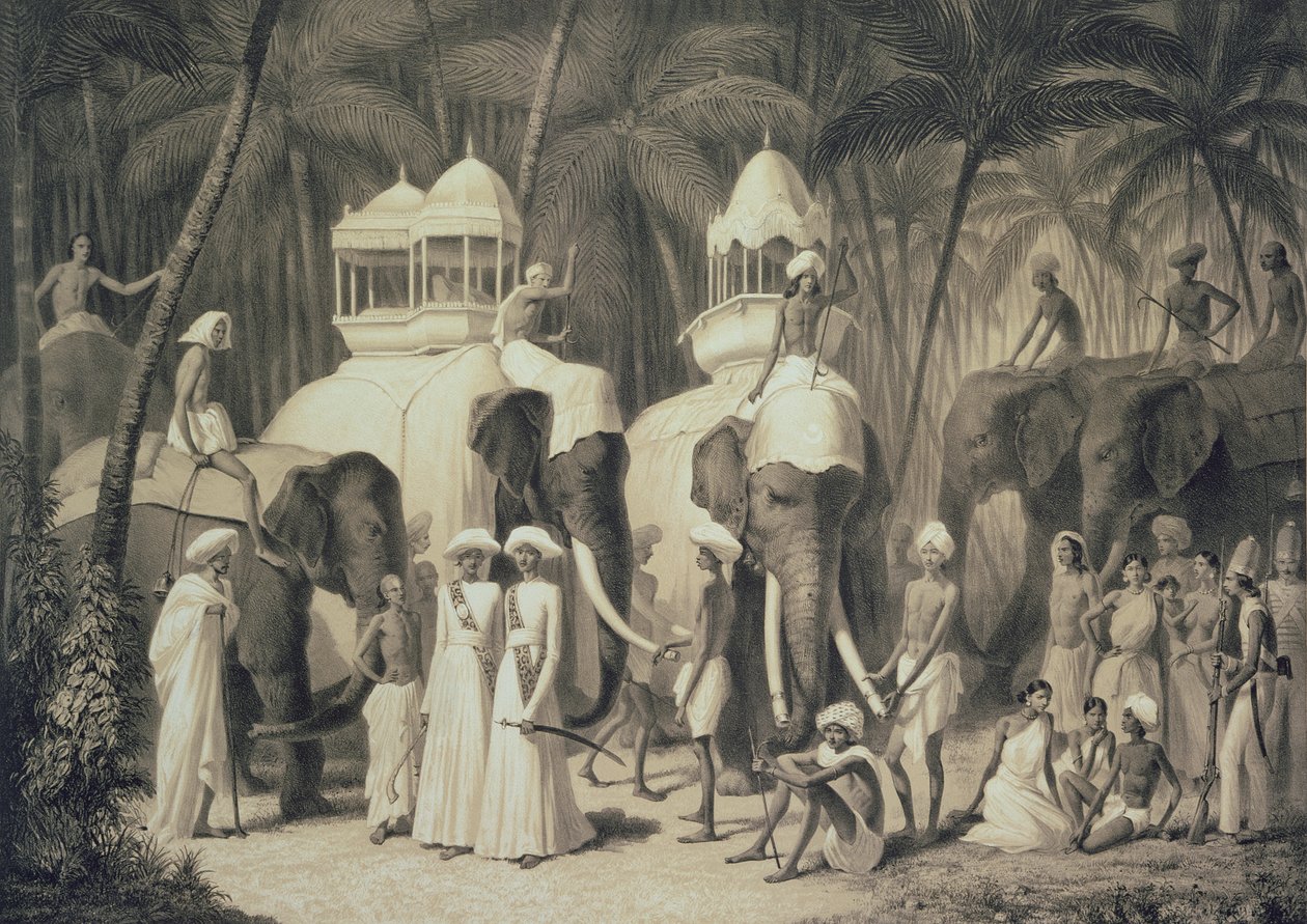 Louis Henri de Rudder (1807-81) tarafından oyulmuş 'Hindistan'da Yolculuk'tan Travandrum Raja'sının Filleri by A. Soltykoff