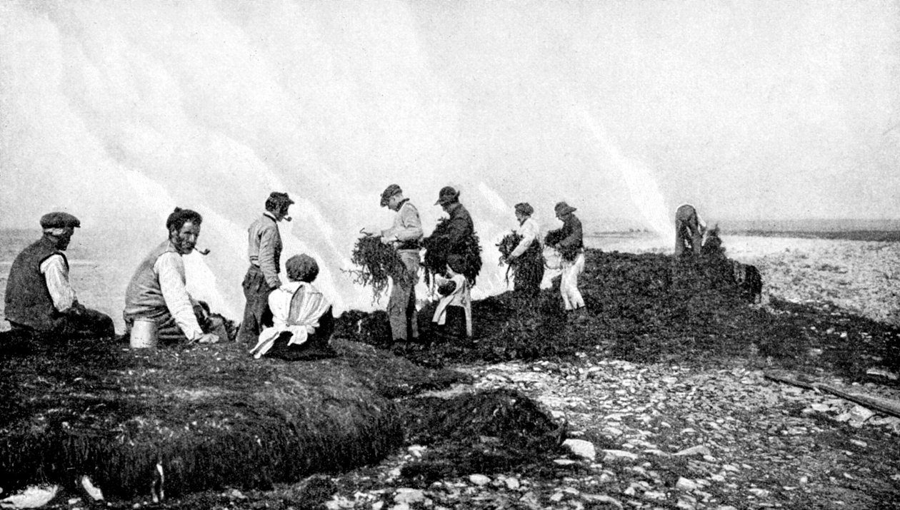 Kelp için yanan deniz yosunu, Aran Adaları, İrlanda, 1922. by A. W. Cutler