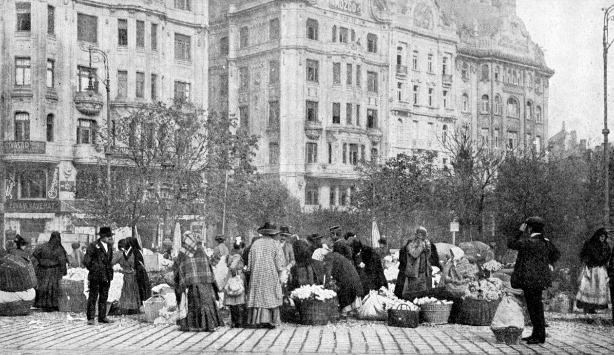 Büyük çiçek pazarı, Budapeşte, Macaristan, 1922. by A. W. Cutler