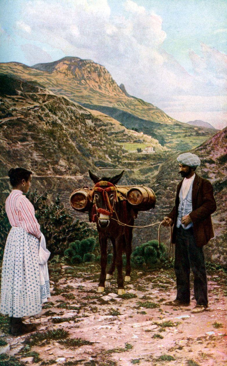 Su fıçılı katır, Sicilya, İtalya, c1923 by A. W. Cutler