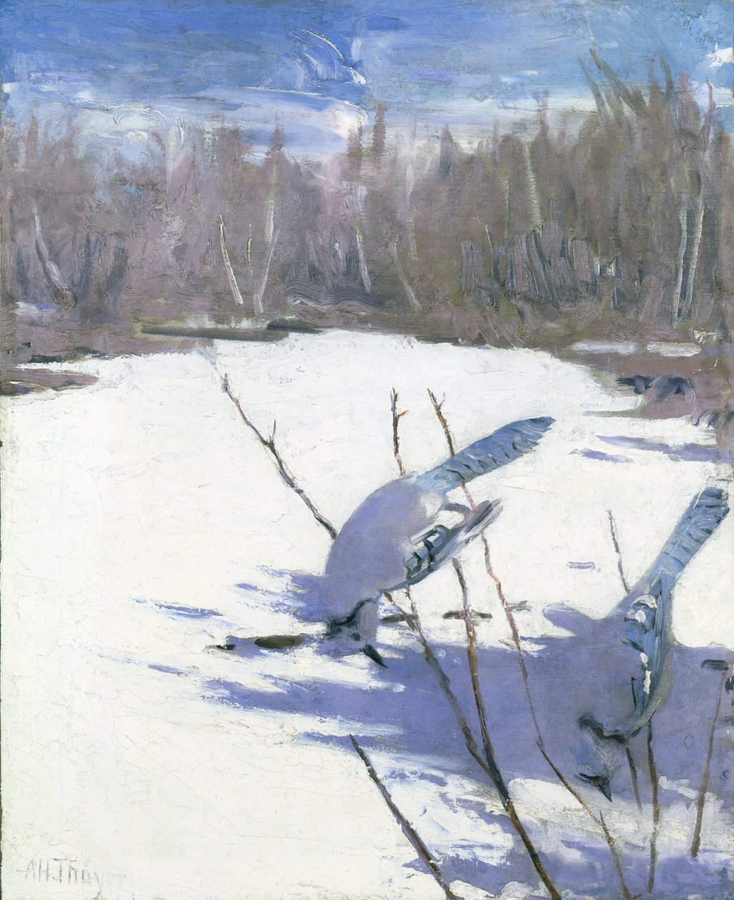  by Abbott Handerson Thayer