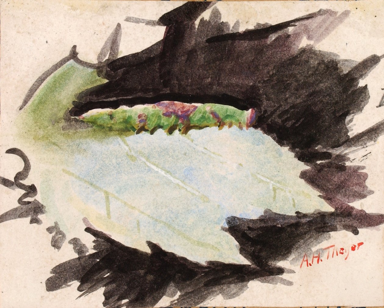  by Abbott Handerson Thayer