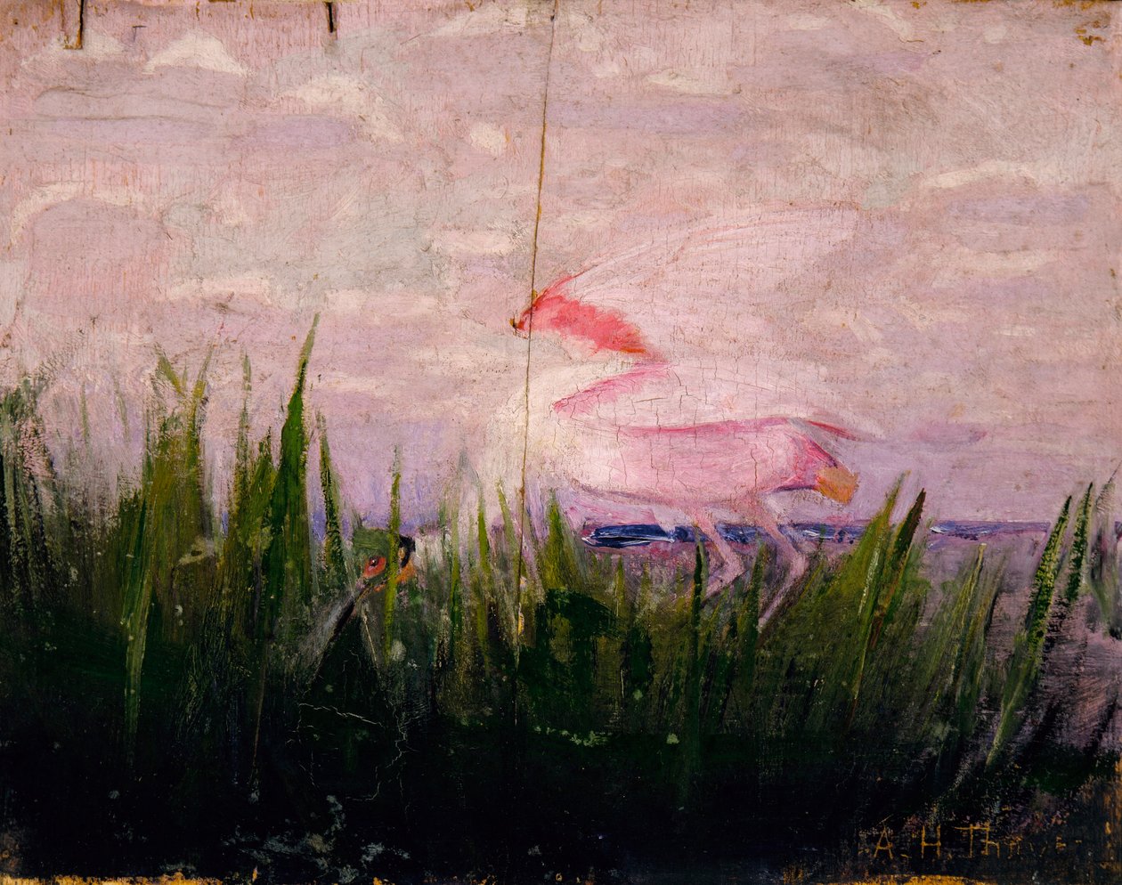  by Abbott Handerson Thayer