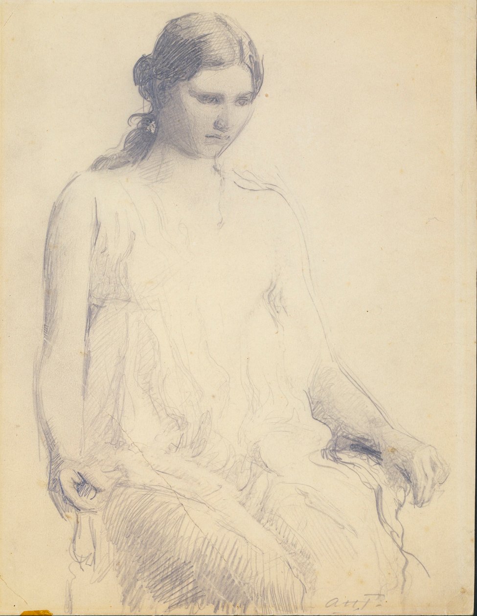  by Abbott Handerson Thayer