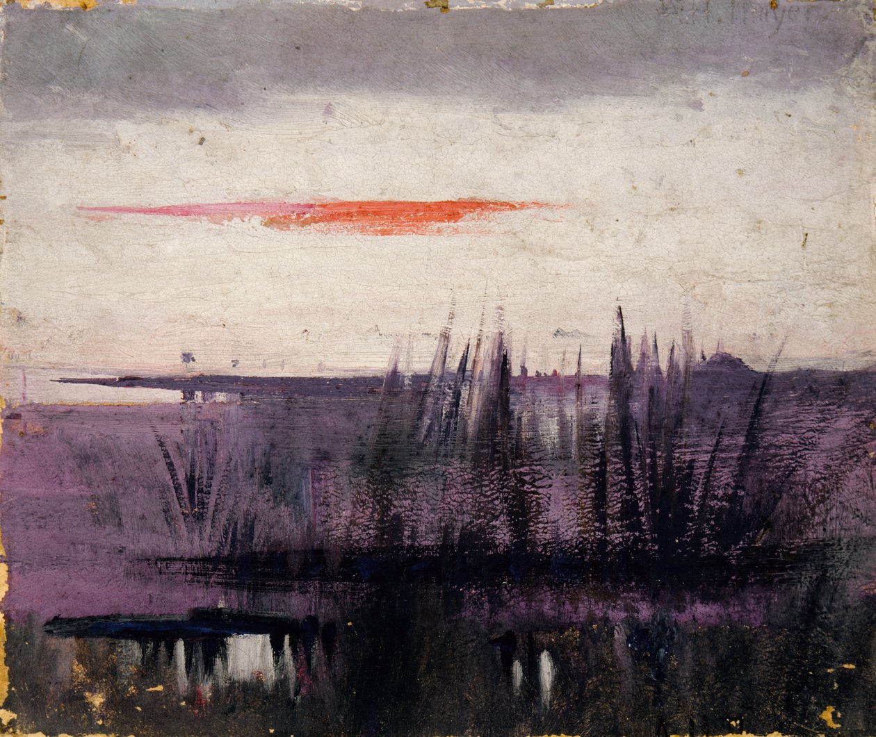 Beyaz Flamingolar Tarafından Simüle Edilen Gökyüzü kitap çalışması için..., Hayvan Krallığında, yaklaşık. 1905-1909. by Abbott Handerson Thayer