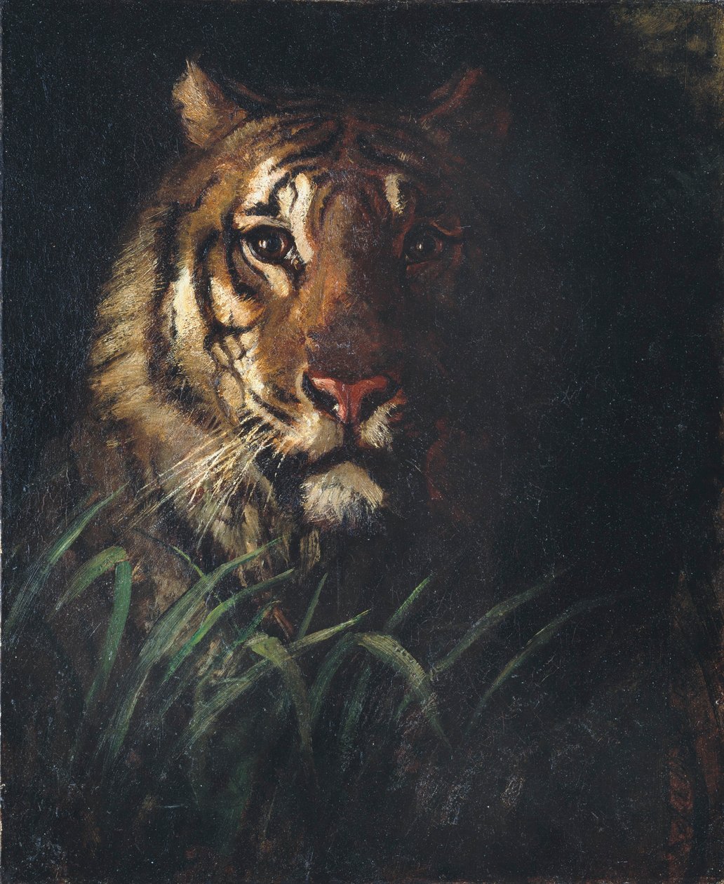  by Abbott Handerson Thayer
