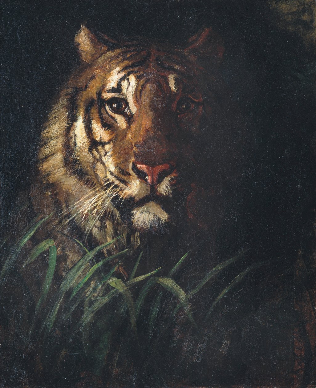 Kaplanın Başı, ca. 1874. by Abbott Handerson Thayer