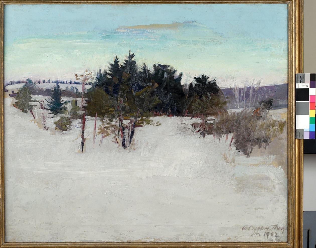 Kış Manzarası, 1902 by Abbott Handerson Thayer