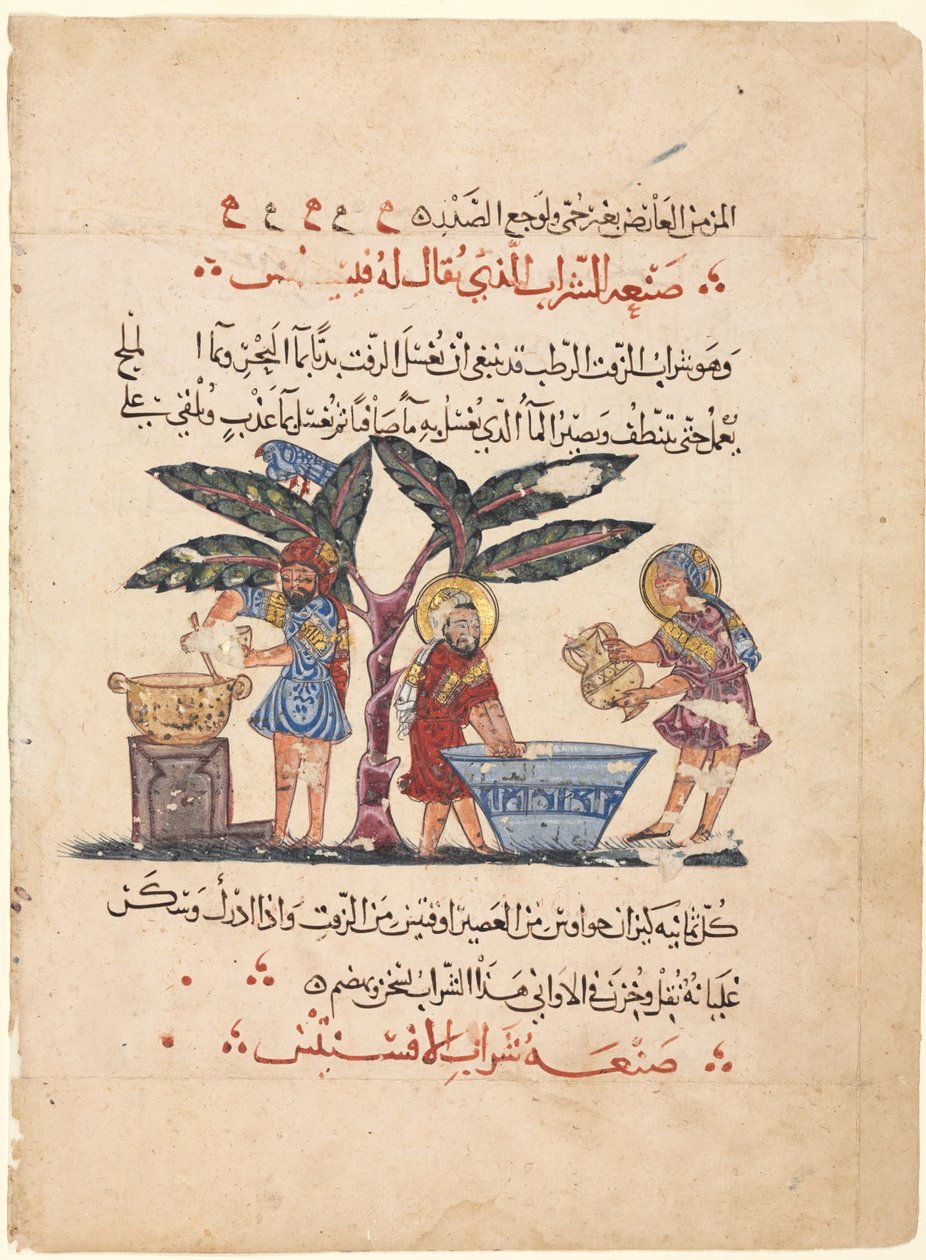 Dioscorides'in Materia Medica'sının Arapça çevirisinden bir folyo by Abdallah ibn al Fadl (Iraq)