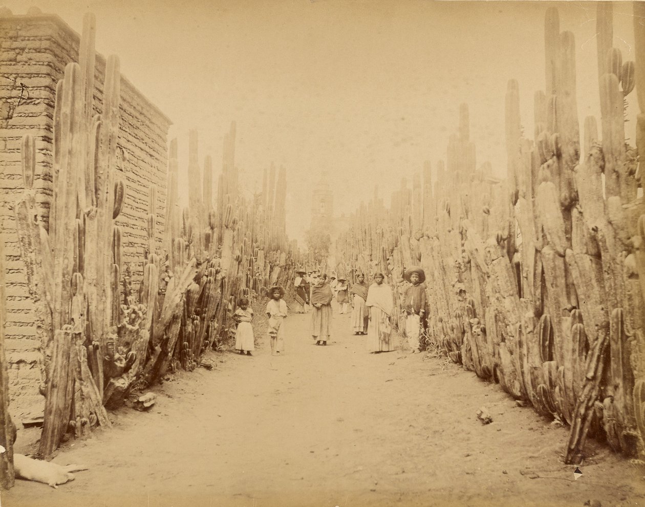 Meksika. San Juan Köyü Sokağı, Meksika Eyaleti. by Abel Briquet