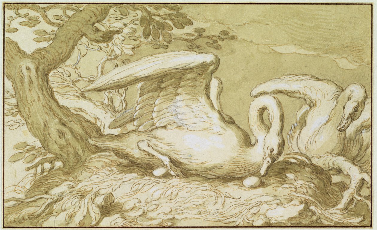 Yuvasında Bir Kuğu (kağıt üzerinde kalem ve mürekkep yıkama) by Abraham Bloemaert