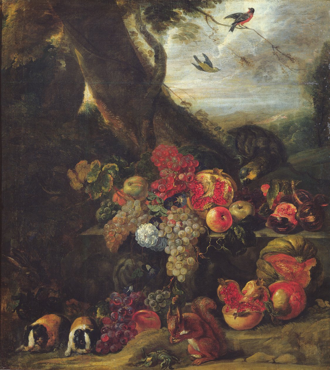 Fruit and Animals  by Abraham Brueghel