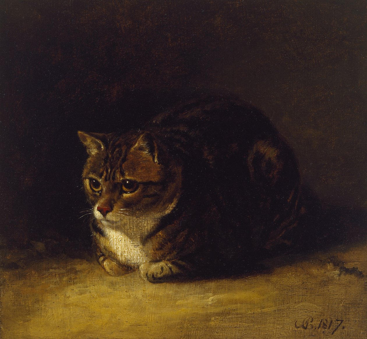 Bir Kedinin Çalışması, 1817 (panel üzerine yağlı boya, çizim olarak monte edilmiş) by Abraham Cooper