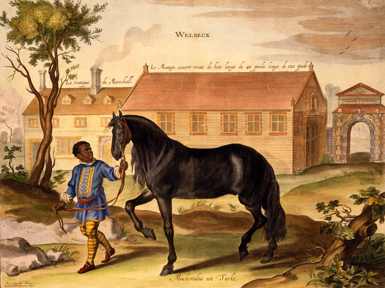 1737'de yayınlanan William Cavendish'in 'The Method and New Invention of Dressing Horses'tan üniformalı zenci bir ahır çocuğu tarafından yönetilen bir Türk olan Makomilia (aquatint) by Abraham van Diepenbeeck