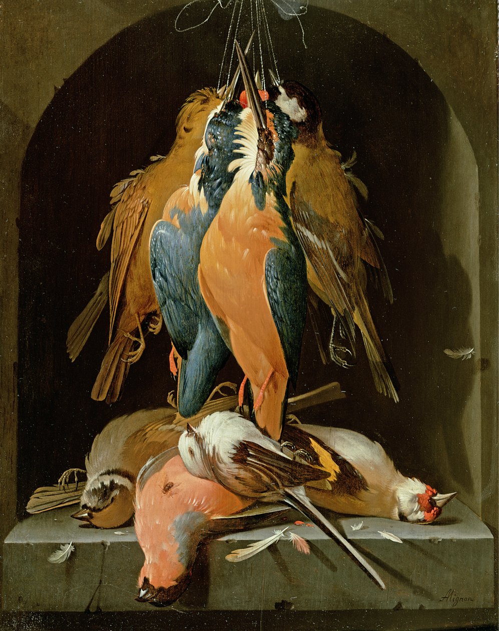 Still life of birds  by Abraham Mignon