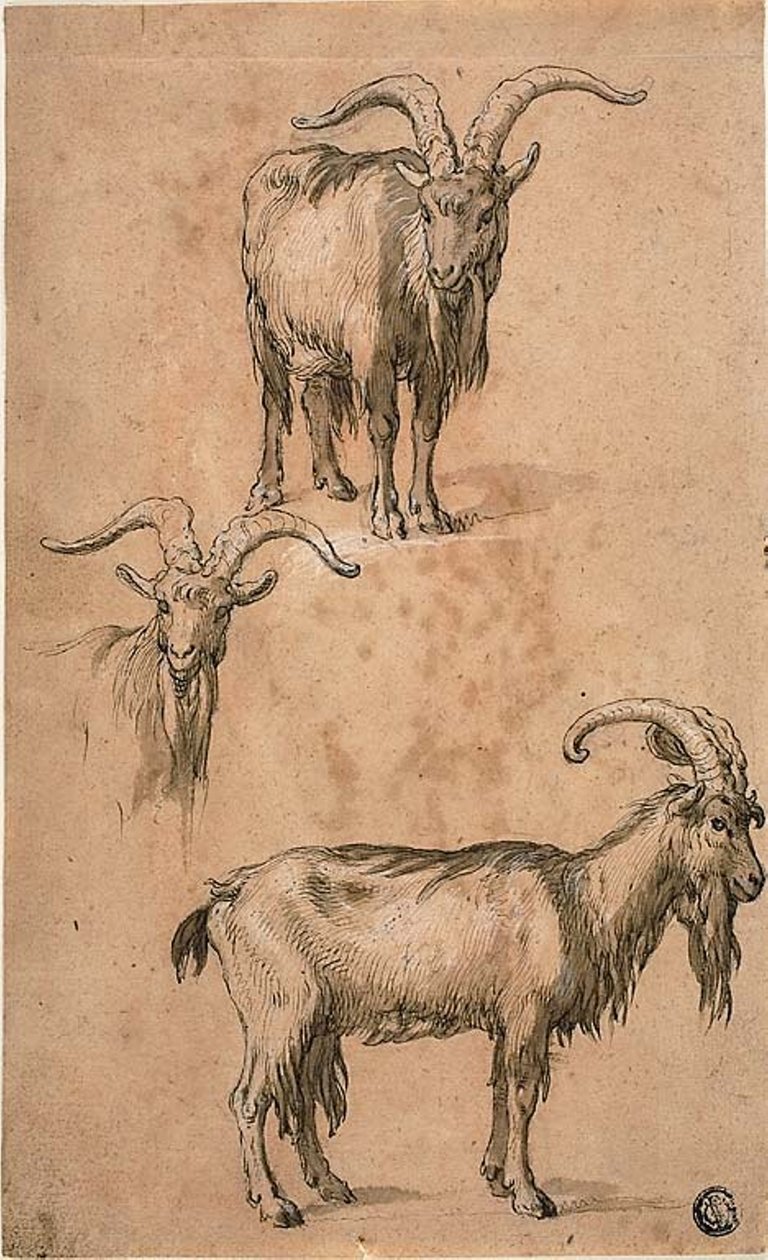 Üç Keçi Eskizleri (rekto) Ayakta Kadın Figürünün Perdeliği (ters) by Abraham Bloemaert