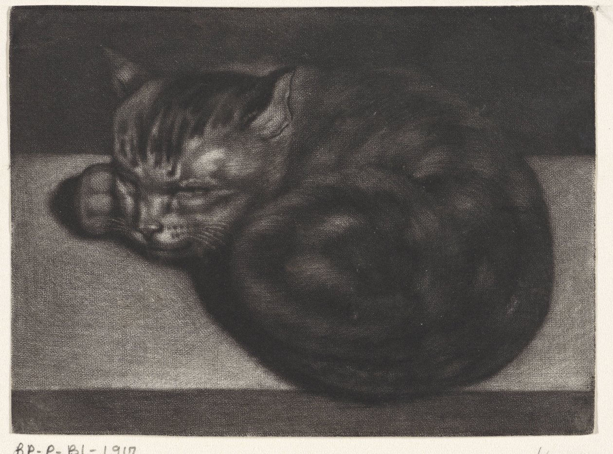 uyuyan kedi by Abraham Bloteling