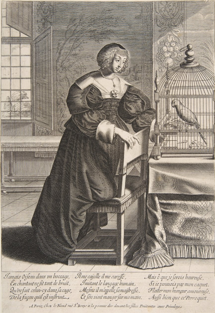 Papağan, 1620-76. by Abraham Bosse