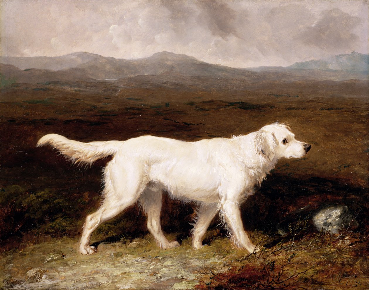 Moorland Manzarasında Charles Brett