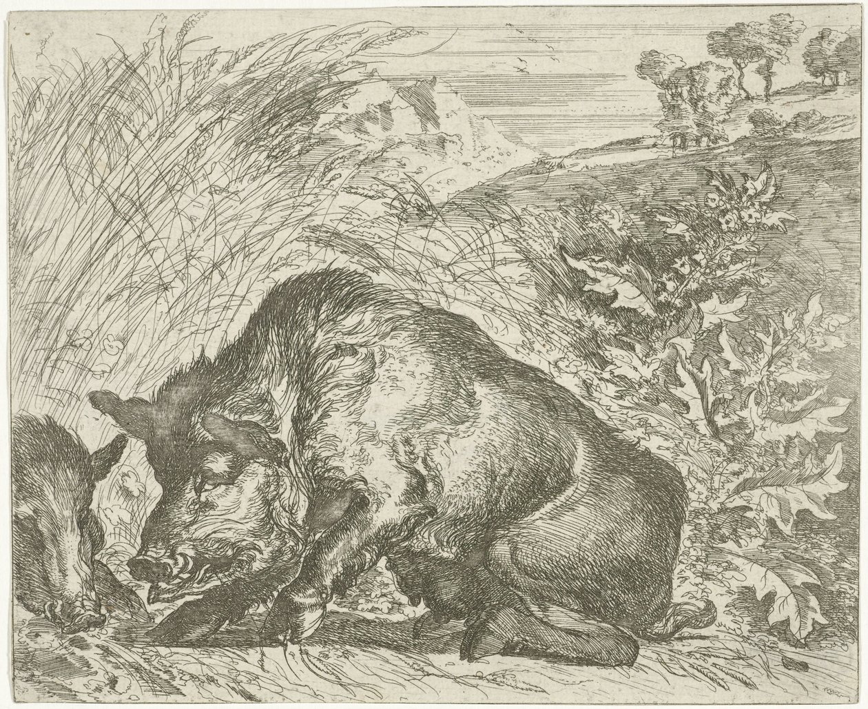 Yaban domuzu Farklı hayvanlar (dizi başlığı) by Abraham Danielsz. Hondius