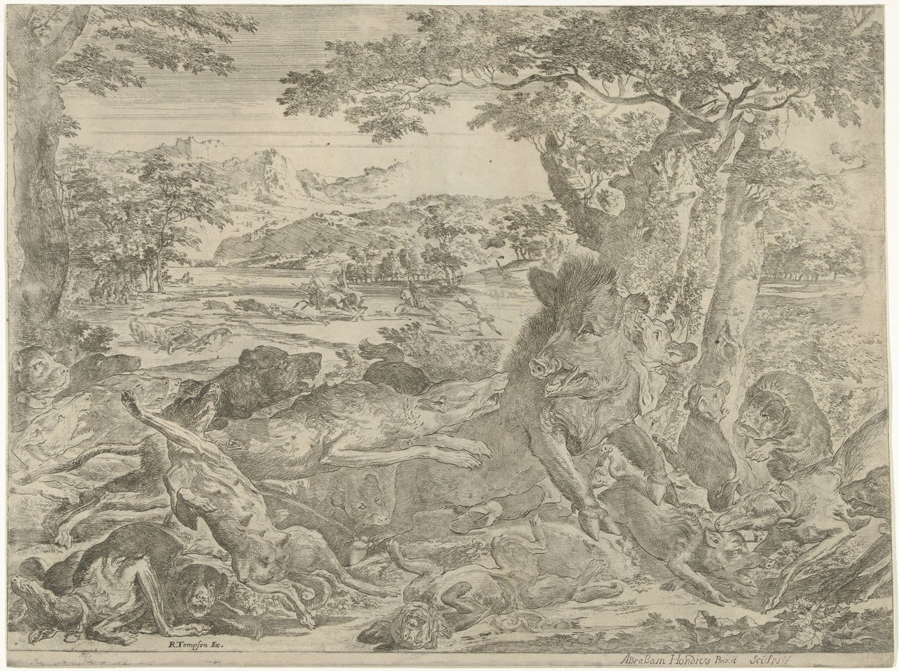 Köpeklerin saldırısına uğrayan yaban domuzu by Abraham Danielsz. Hondius