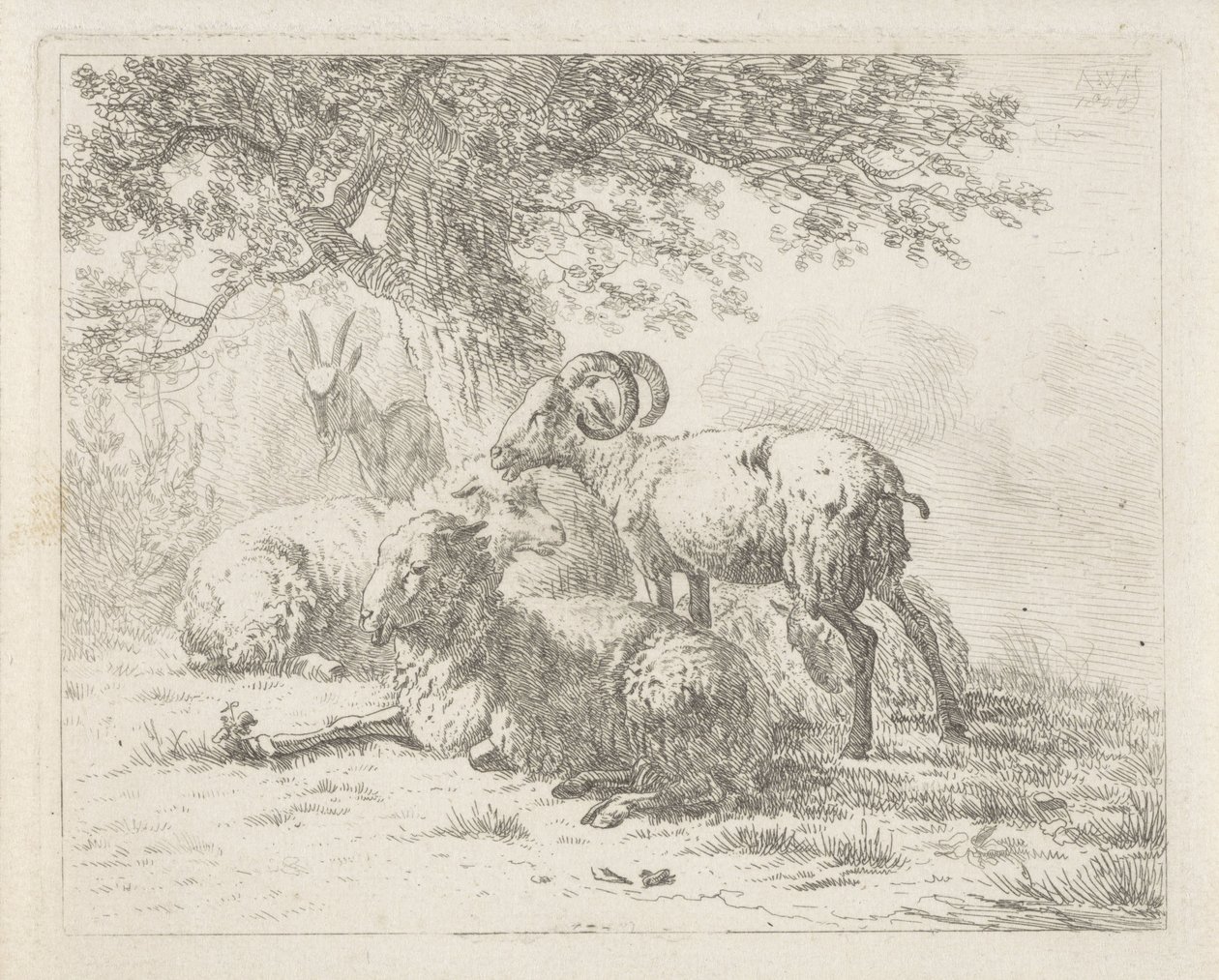 Koyun ve keçi by Abraham Hendrik Winter