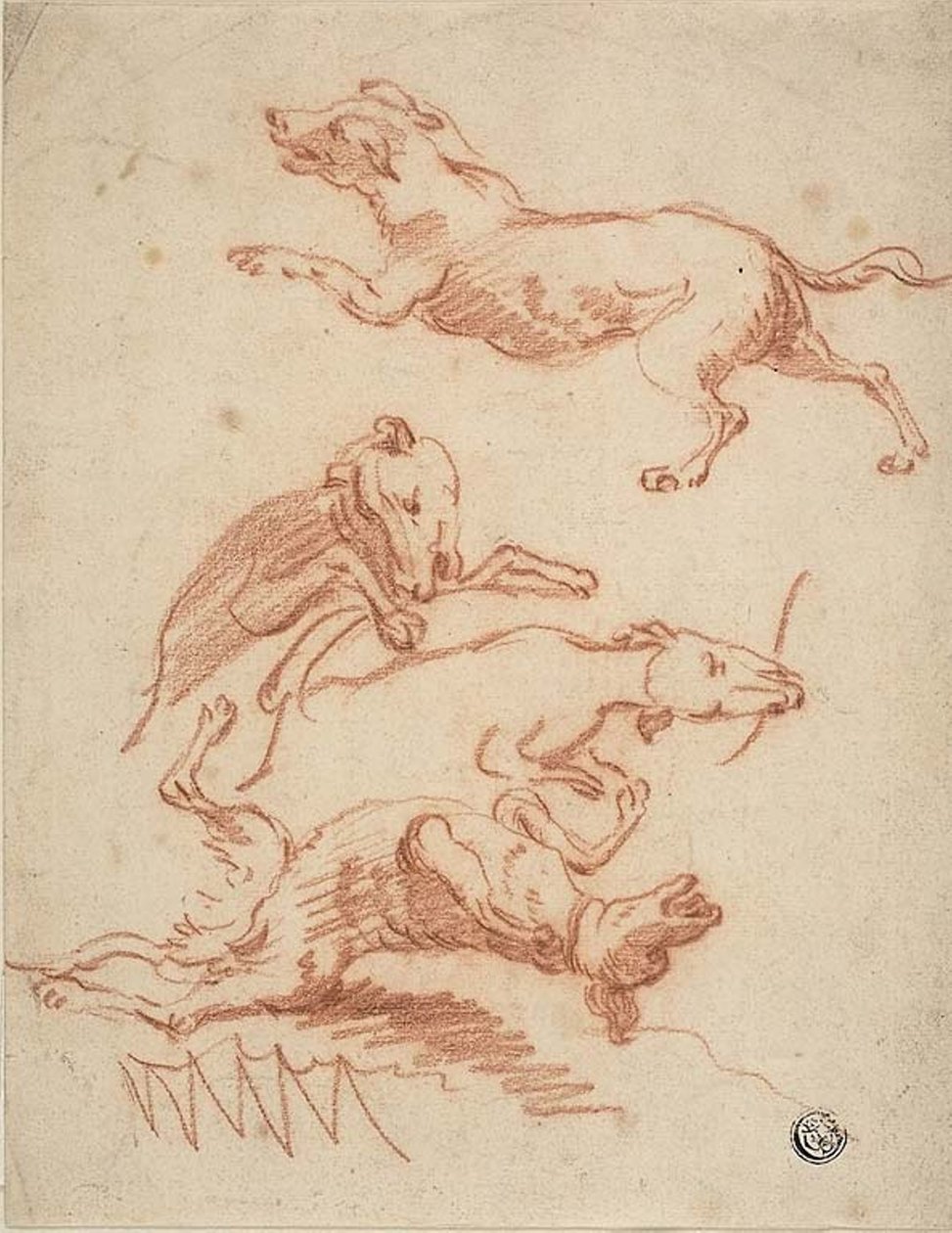 Romping Dogs Eskizleri by Abraham Hondius