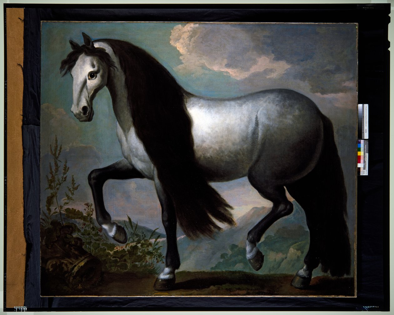 Manzaradaki At by Abraham Jansz. van Diepenbeeck