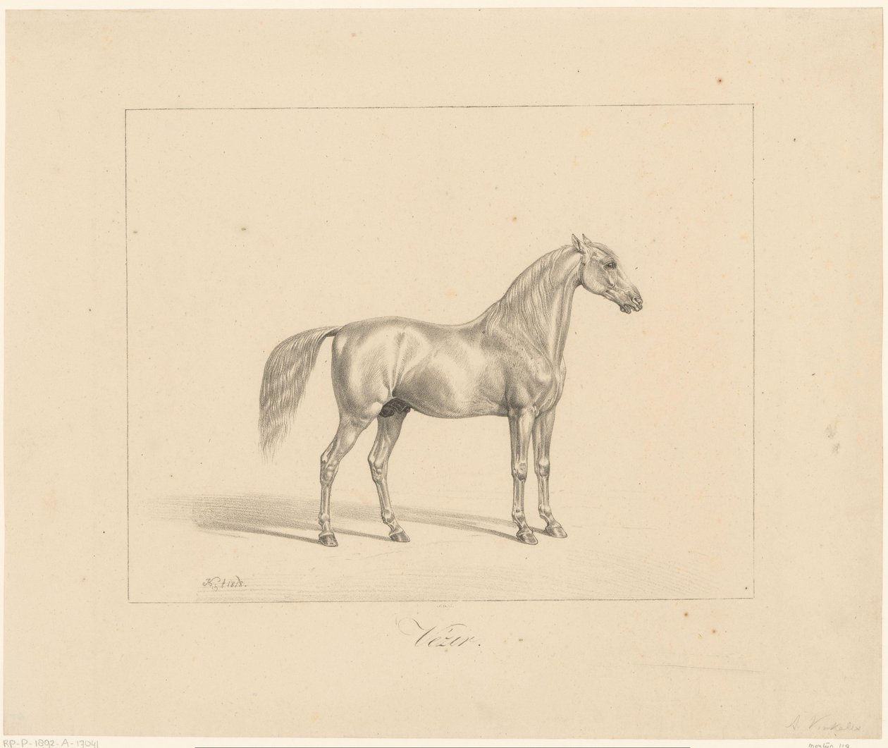 Arap Aygırı Vezir (nesne üzerindeki başlık) by Abraham Vinkeles