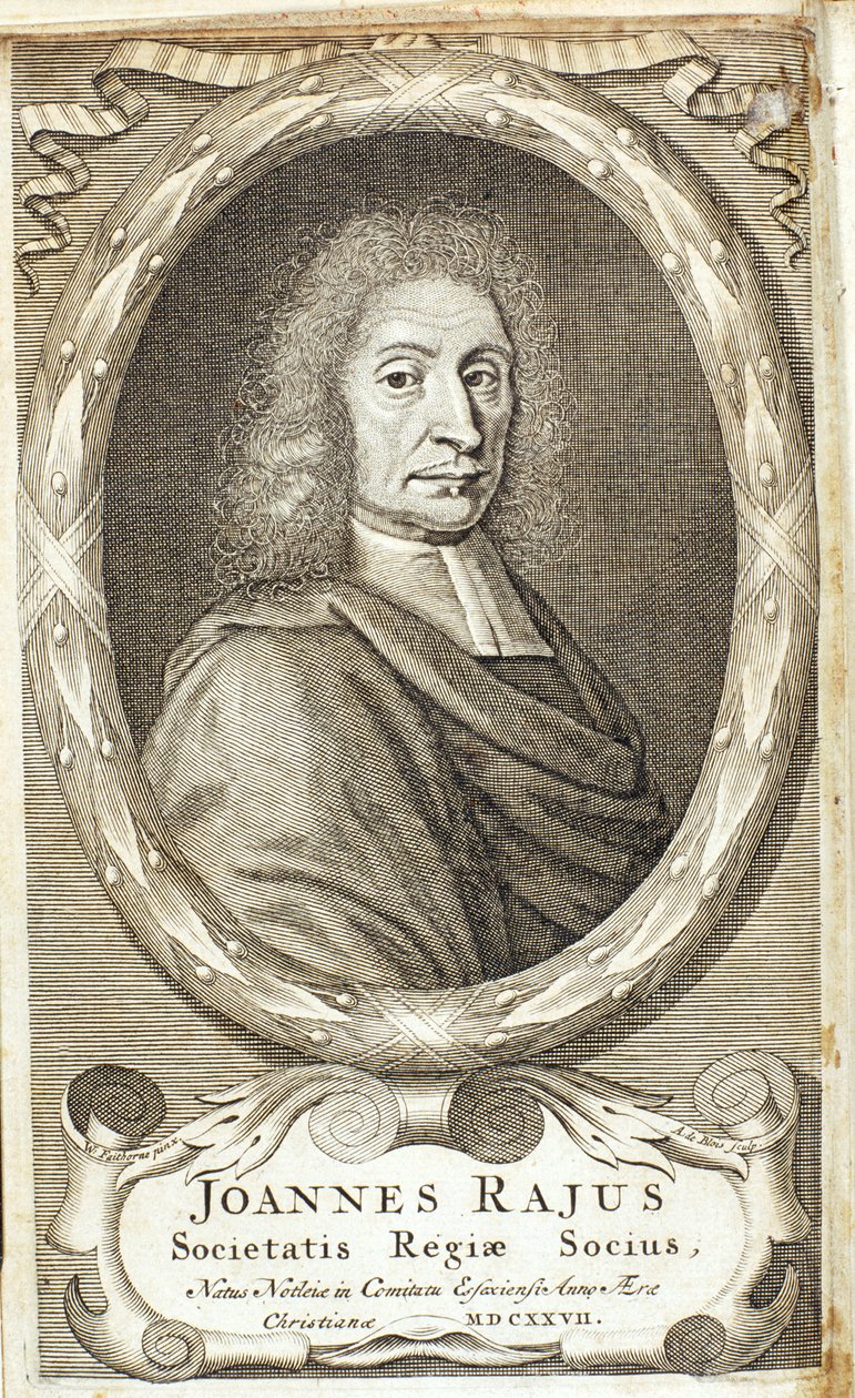 John Ray, İngiliz doğa bilimci, 1680'ler by Abraham de Blois