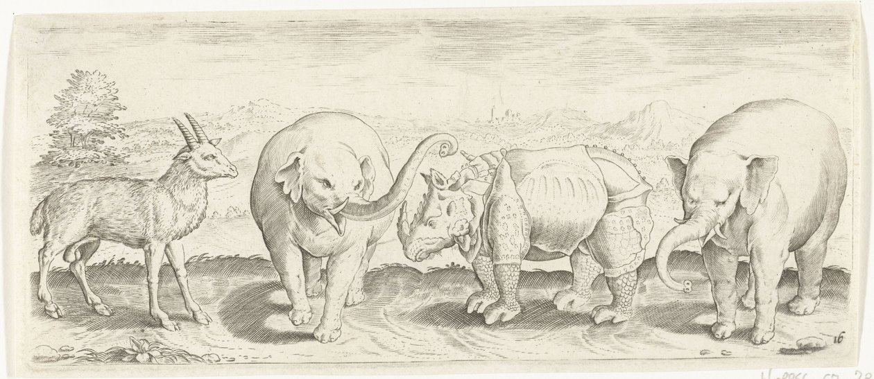 Ceylan, fil ve gergedan Hayvanlar (dizi adı) by Abraham de Bruyn (possibly)