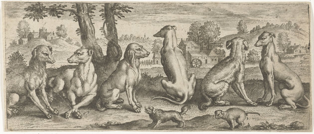 köpekler Hayvanlar (dizi adı) by Abraham de Bruyn (possibly)
