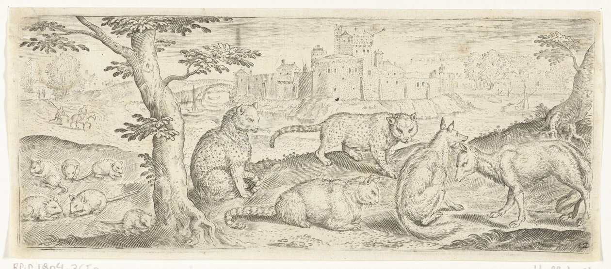 Sıçanlar, kediler ve tilkiler Hayvanlar (dizi adı) by Abraham de Bruyn (possibly)