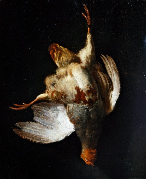 Çividen sarkan keklikli bir natürmort (panelde yağlı boya) by Abraham van Calraet