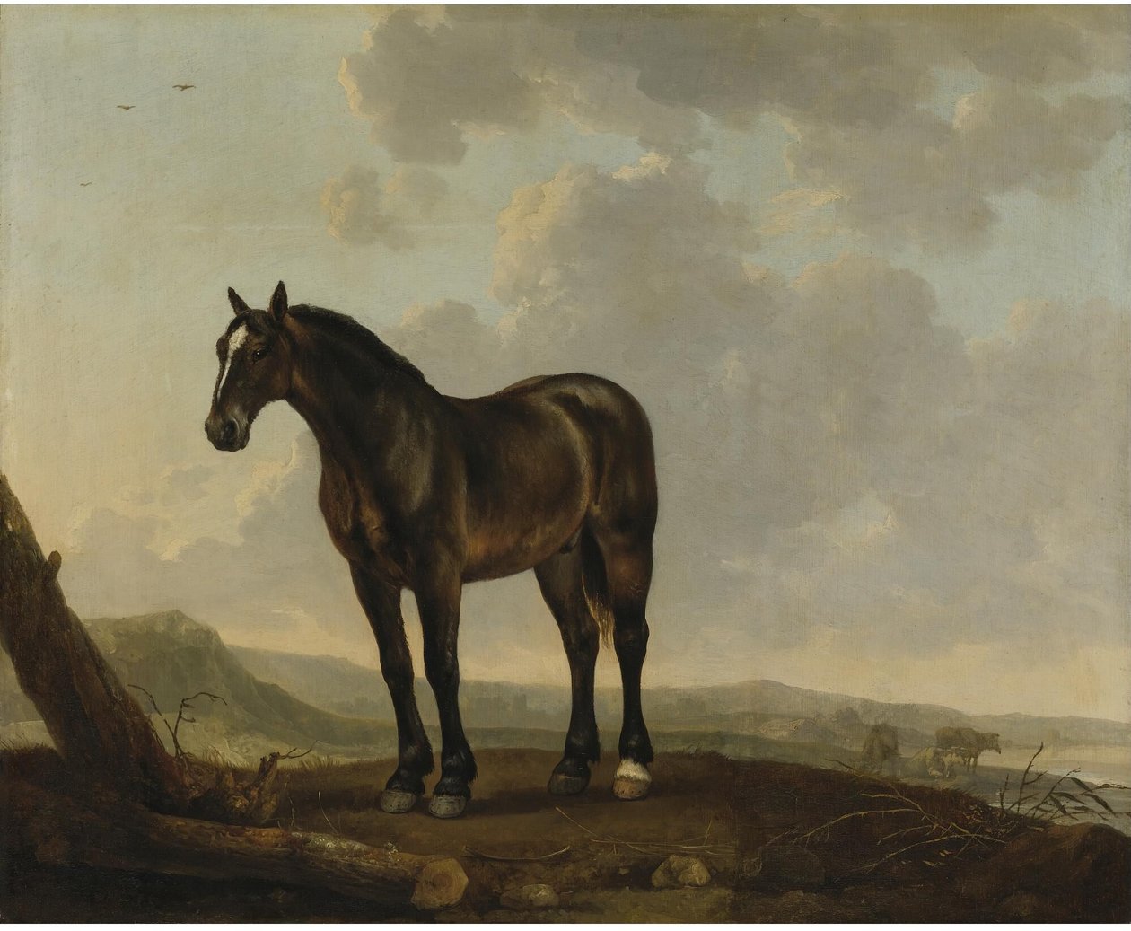  by Abraham van Calraet