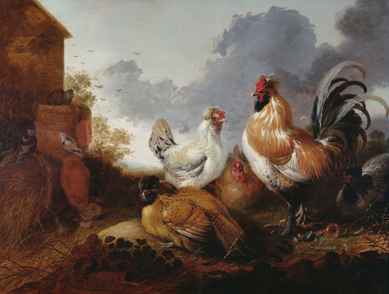 Bir çiftlik bahçesinde kümes hayvanları by Abraham van Calraet